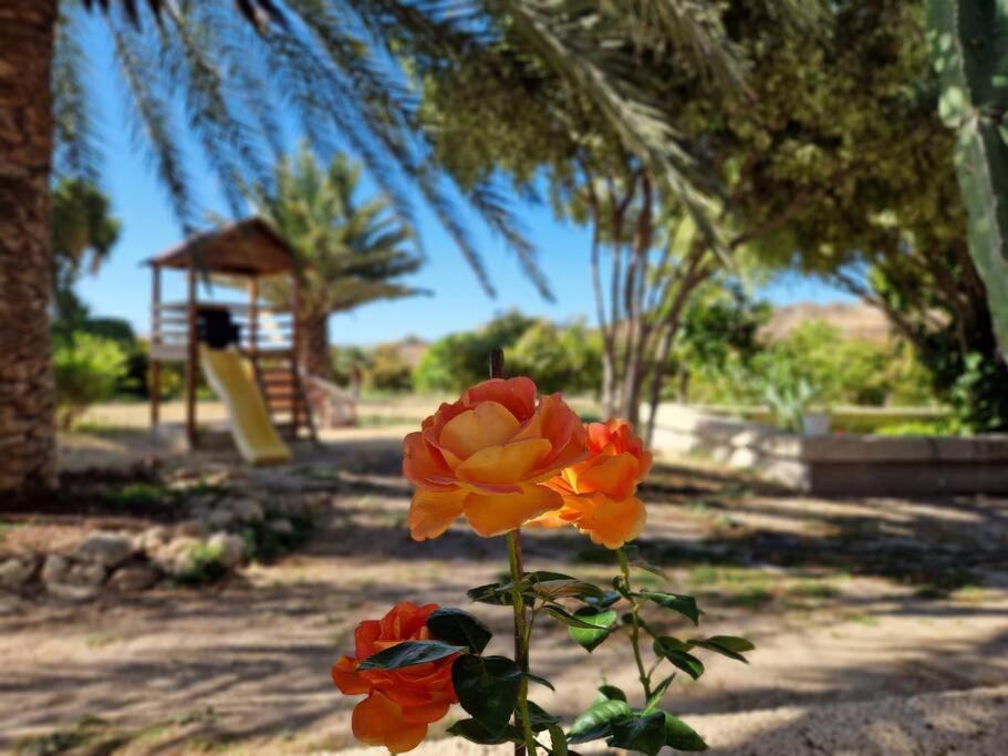 Private House With Pool & Garden Villa Guimar Bagian luar foto