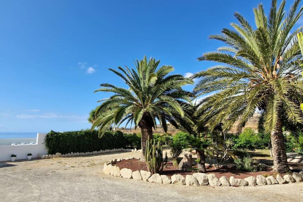 Private House With Pool & Garden Villa Guimar Bagian luar foto