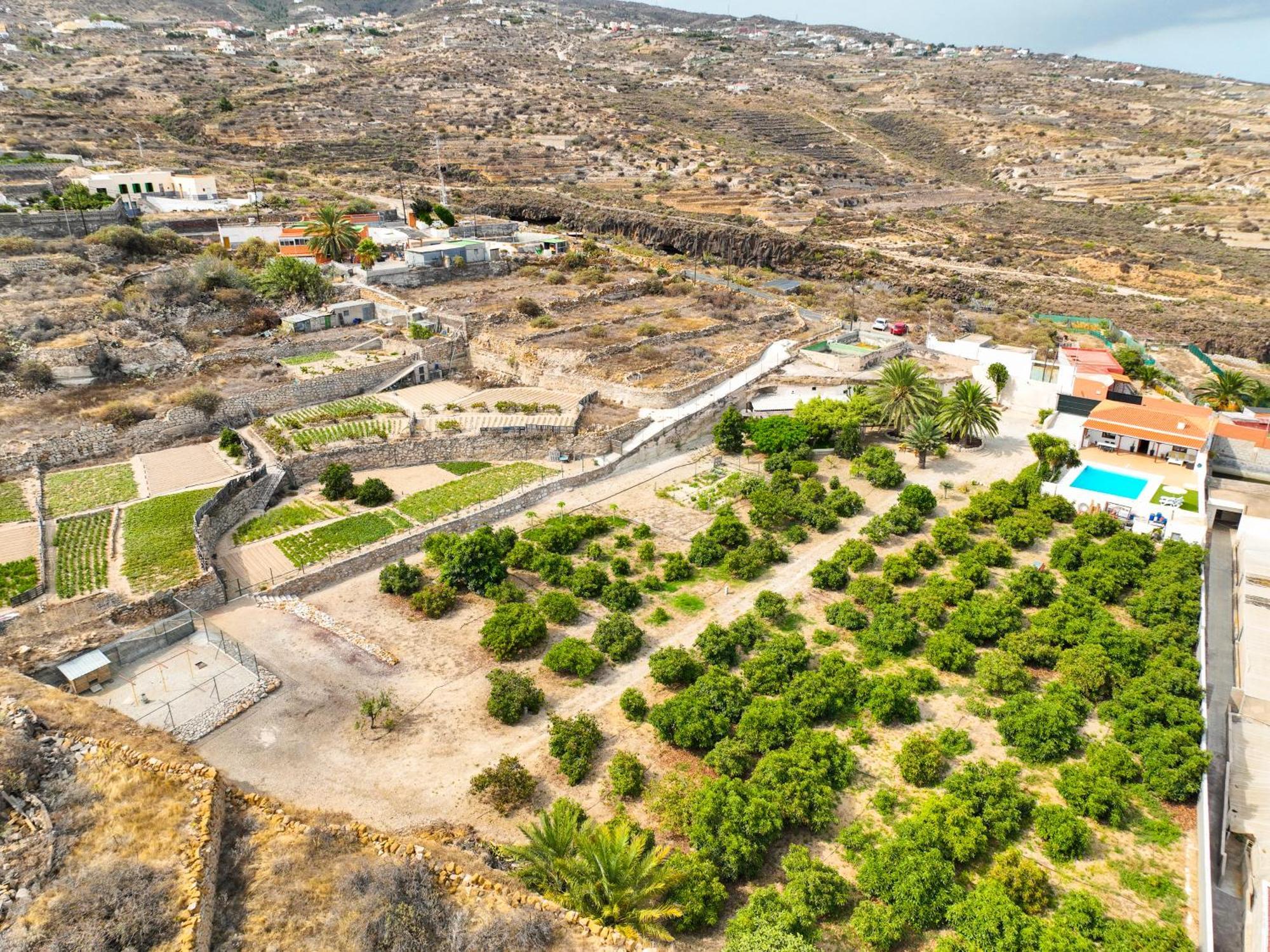 Private House With Pool & Garden Villa Guimar Bagian luar foto